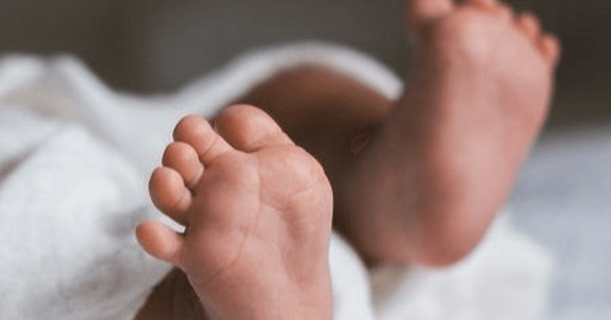 TinyNest vs FamilyAlbum: Which Should You Choose in 2026?