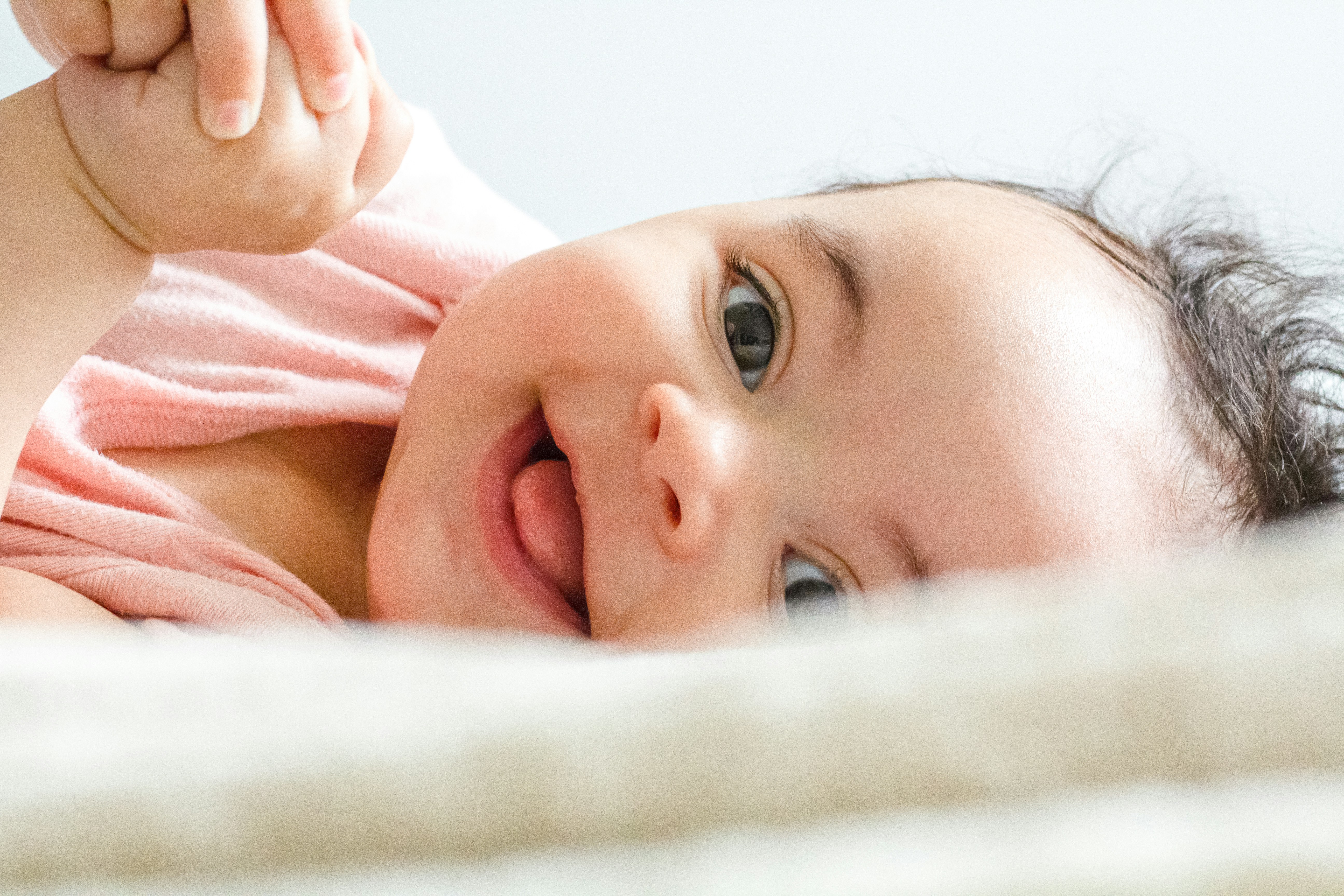 Best Family Album Apps